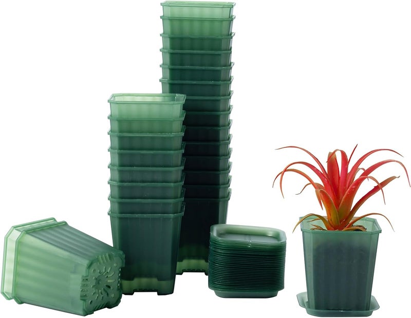 Foxany 3 Inch Transparent Green Nursery Pots, 30 Pcs Thick Plastic Plant Pot, Square Flower Planting Pots Variety Pack, Seedling Planter Starter Pots with Saucers for Garden - Image 1